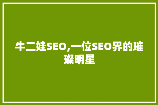 牛二娃SEO,一位SEO界的璀璨明星