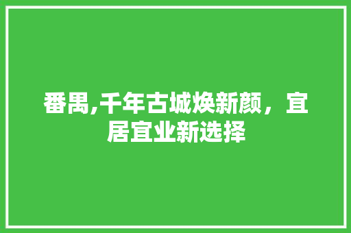 番禺,千年古城焕新颜，宜居宜业新选择