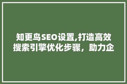 知更鸟SEO设置,打造高效搜索引擎优化步骤，助力企业互联网营销
