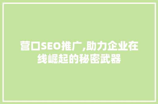 营口SEO推广,助力企业在线崛起的秘密武器