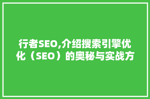 行者SEO,介绍搜索引擎优化（SEO）的奥秘与实战方法
