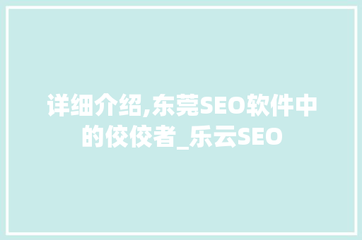 详细介绍,东莞SEO软件中的佼佼者_乐云SEO