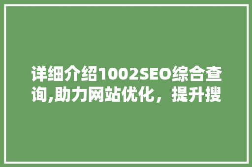 详细介绍1002SEO综合查询,助力网站优化，提升搜索引擎排名