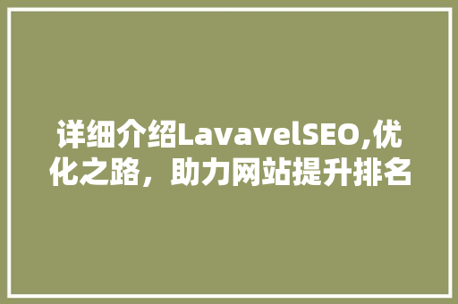 详细介绍LavavelSEO,优化之路，助力网站提升排名