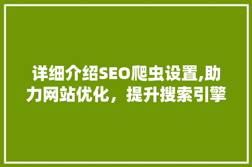 详细介绍SEO爬虫设置,助力网站优化，提升搜索引擎排名