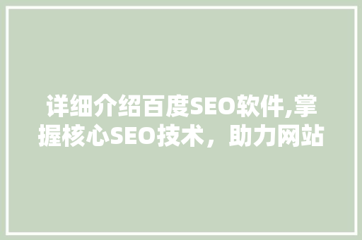 详细介绍百度SEO软件,掌握核心SEO技术，助力网站排名提升
