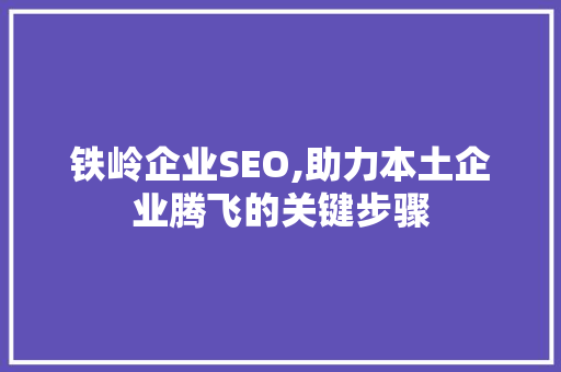 铁岭企业SEO,助力本土企业腾飞的关键步骤