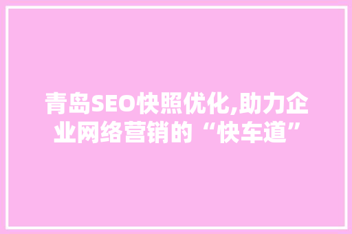 青岛SEO快照优化,助力企业网络营销的“快车道”