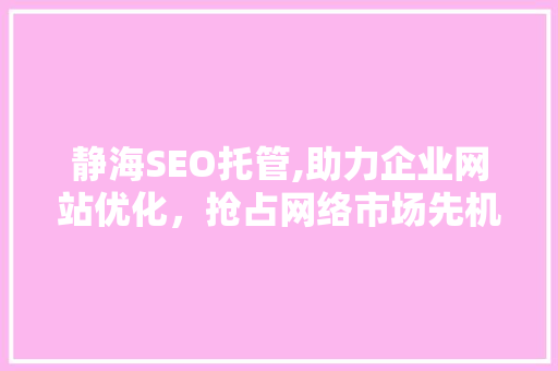 静海SEO托管,助力企业网站优化，抢占网络市场先机