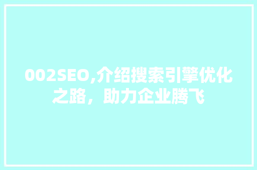 002SEO,介绍搜索引擎优化之路，助力企业腾飞