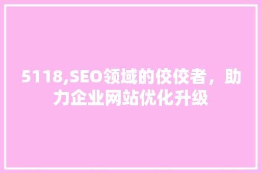 5118,SEO领域的佼佼者，助力企业网站优化升级