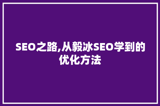 SEO之路,从毅冰SEO学到的优化方法