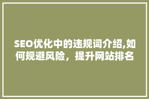 SEO优化中的违规词介绍,如何规避风险，提升网站排名