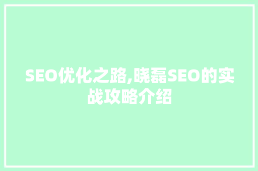 SEO优化之路,晓磊SEO的实战攻略介绍