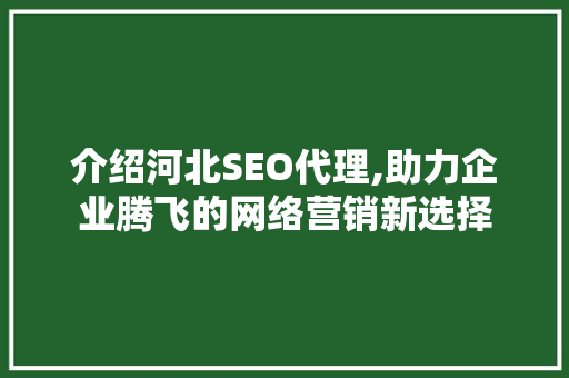介绍河北SEO代理,助力企业腾飞的网络营销新选择