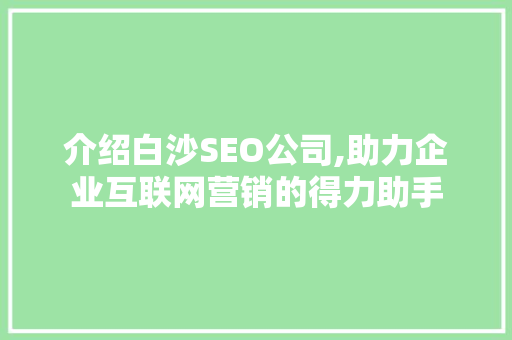 介绍白沙SEO公司,助力企业互联网营销的得力助手