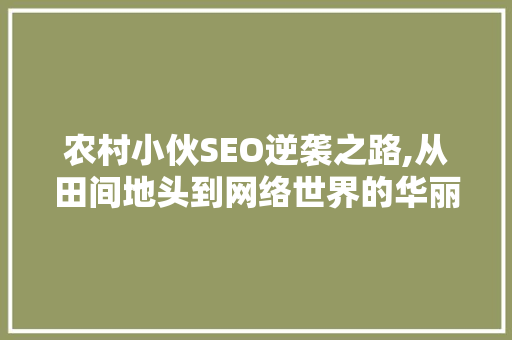 农村小伙SEO逆袭之路,从田间地头到网络世界的华丽转身