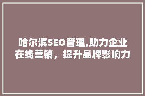 哈尔滨SEO管理,助力企业在线营销，提升品牌影响力