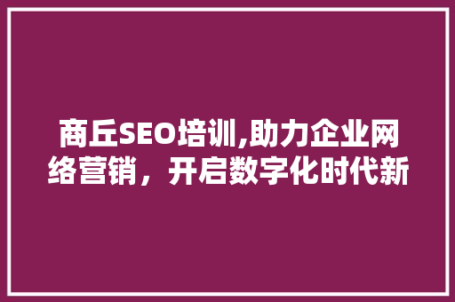商丘SEO培训,助力企业网络营销，开启数字化时代新篇章