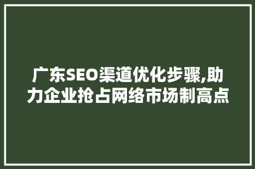 广东SEO渠道优化步骤,助力企业抢占网络市场制高点