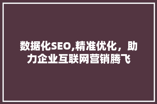数据化SEO,精准优化，助力企业互联网营销腾飞
