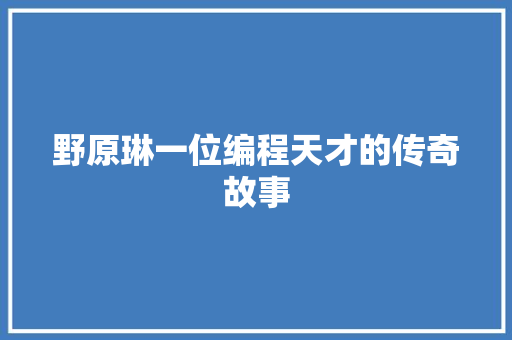 野原琳一位编程天才的传奇故事
