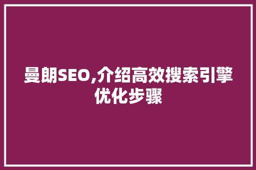 曼朗SEO,介绍高效搜索引擎优化步骤