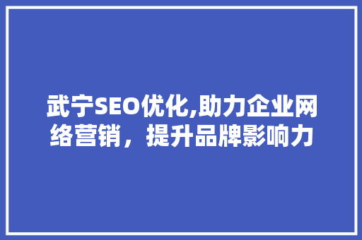 武宁SEO优化,助力企业网络营销，提升品牌影响力