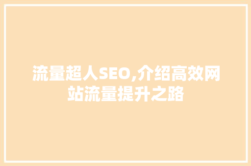 流量超人SEO,介绍高效网站流量提升之路