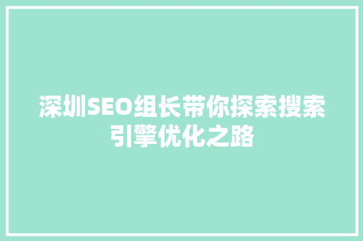 深圳SEO组长带你探索搜索引擎优化之路