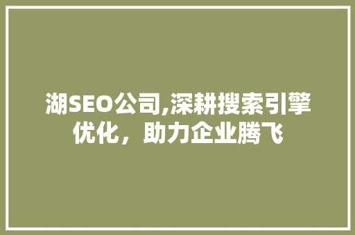 湖SEO公司,深耕搜索引擎优化，助力企业腾飞