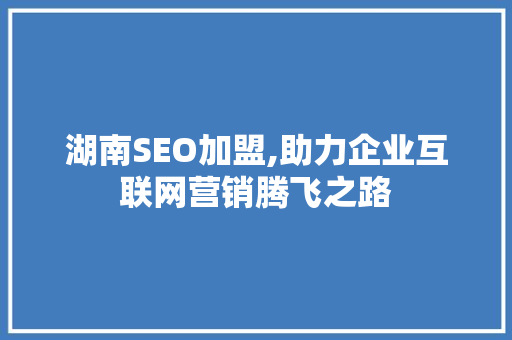 湖南SEO加盟,助力企业互联网营销腾飞之路