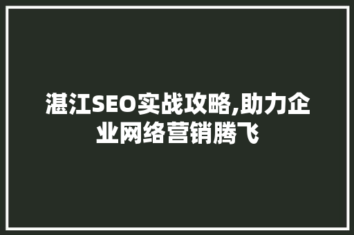 湛江SEO实战攻略,助力企业网络营销腾飞