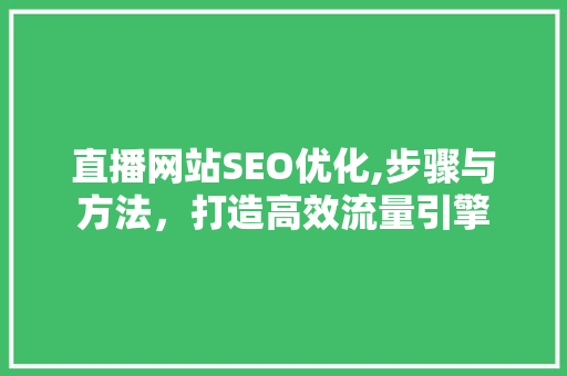 直播网站SEO优化,步骤与方法，打造高效流量引擎