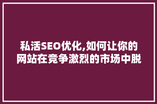 私活SEO优化,如何让你的网站在竞争激烈的市场中脱颖而出