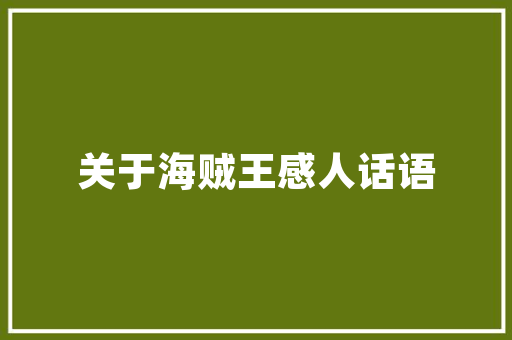 绍兴SEO推广,助力企业互联网营销新篇章