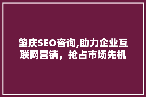 肇庆SEO咨询,助力企业互联网营销，抢占市场先机