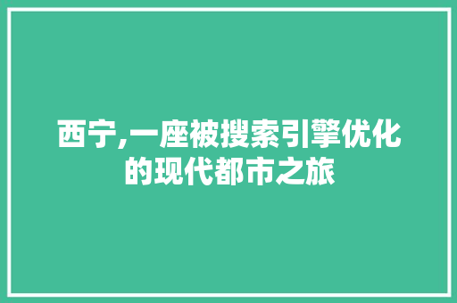 西宁,一座被搜索引擎优化的现代都市之旅
