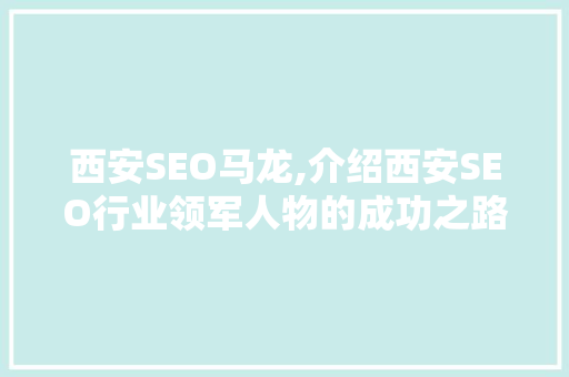 西安SEO马龙,介绍西安SEO行业领军人物的成功之路
