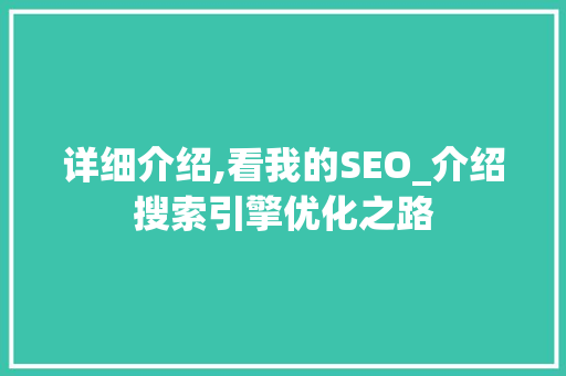 详细介绍,看我的SEO_介绍搜索引擎优化之路