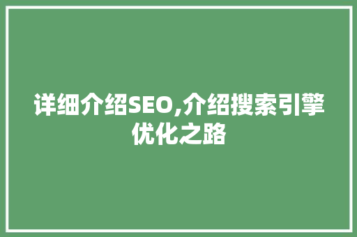 详细介绍SEO,介绍搜索引擎优化之路