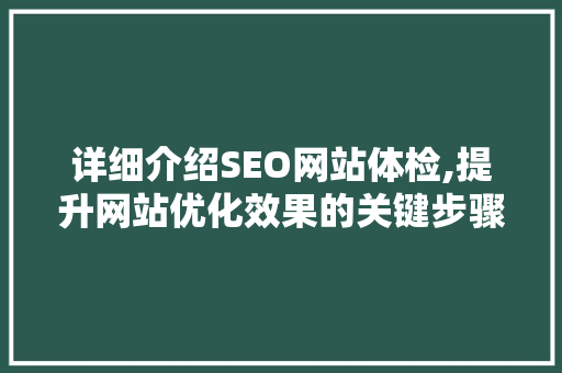 详细介绍SEO网站体检,提升网站优化效果的关键步骤