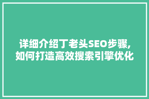 详细介绍丁老头SEO步骤,如何打造高效搜索引擎优化方法