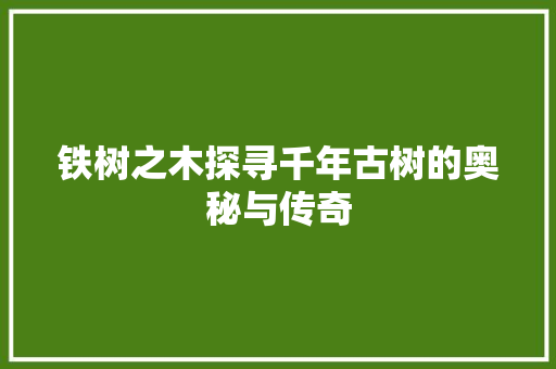 铁树之木探寻千年古树的奥秘与传奇