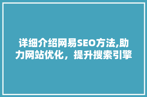 详细介绍网易SEO方法,助力网站优化，提升搜索引擎排名