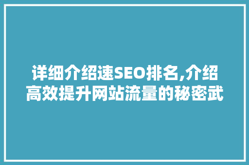 详细介绍速SEO排名,介绍高效提升网站流量的秘密武器