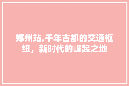 郑州站,千年古都的交通枢纽，新时代的崛起之地