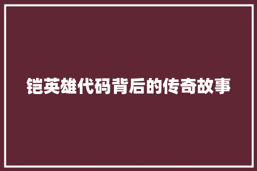铠英雄代码背后的传奇故事