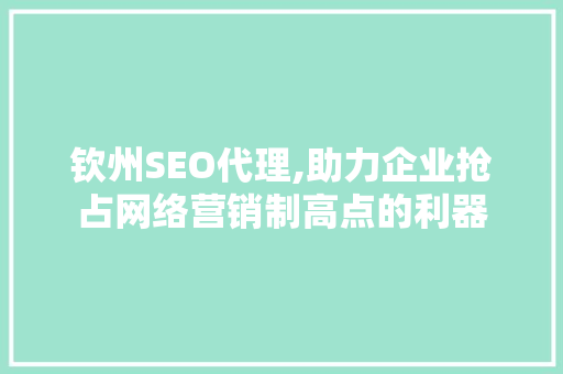 钦州SEO代理,助力企业抢占网络营销制高点的利器