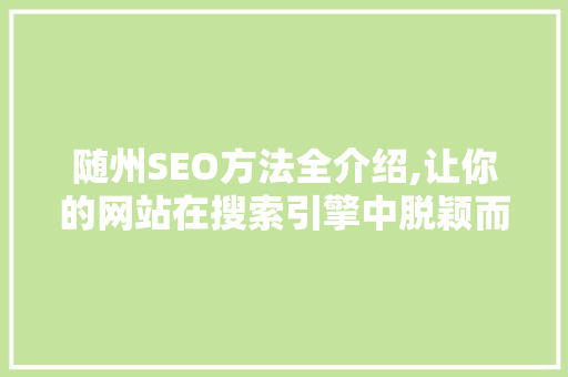 随州SEO方法全介绍,让你的网站在搜索引擎中脱颖而出